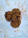 Oatis 2.webp